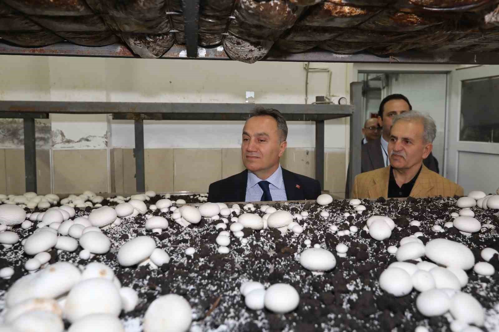 togude uretime dayali egitim modelleri gucleniyor