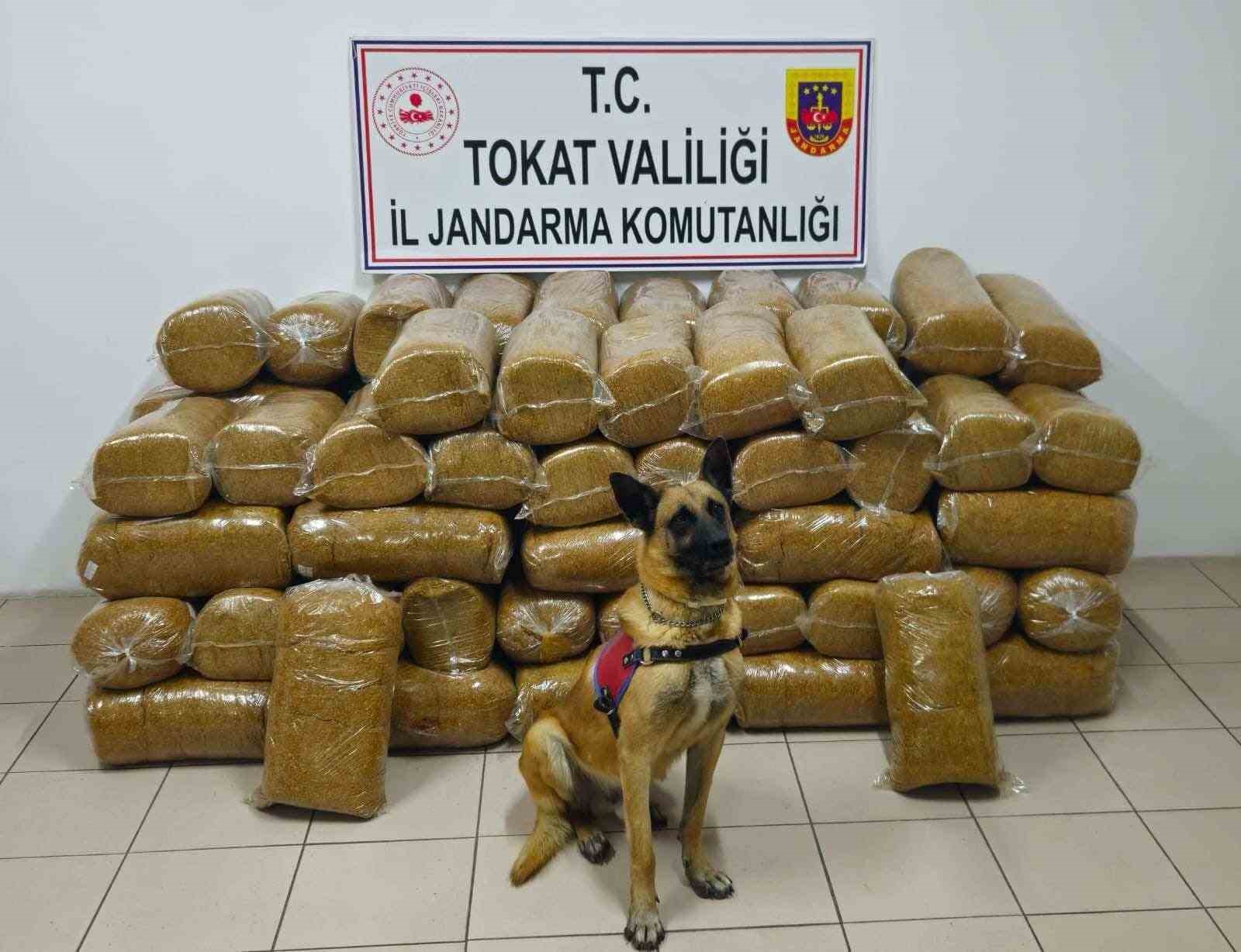 tokatta 485 kilogram kacak tutun ele gecirildi eDj74ODR