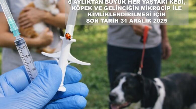 valilikten evcil hayvan uyarisi ELBwLhyN