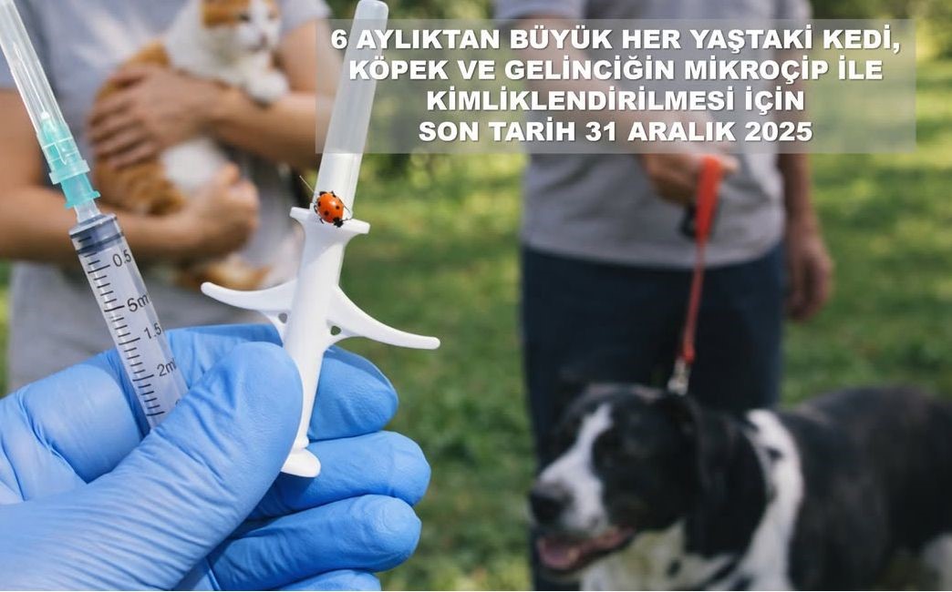 valilikten evcil hayvan uyarisi ELBwLhyN
