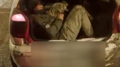 amasyada durdurulan otomobilden 5 kacak gocmen cikti v797xHXN