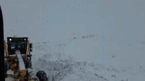 artvin valisi turan ergun 3 cobanin cig altinda kaldigi yonunde bir bilgi geldi cudDdkeF