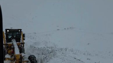 artvin valisi turan ergun 3 cobanin cig altinda kaldigi yonunde bir bilgi geldi cudDdkeF