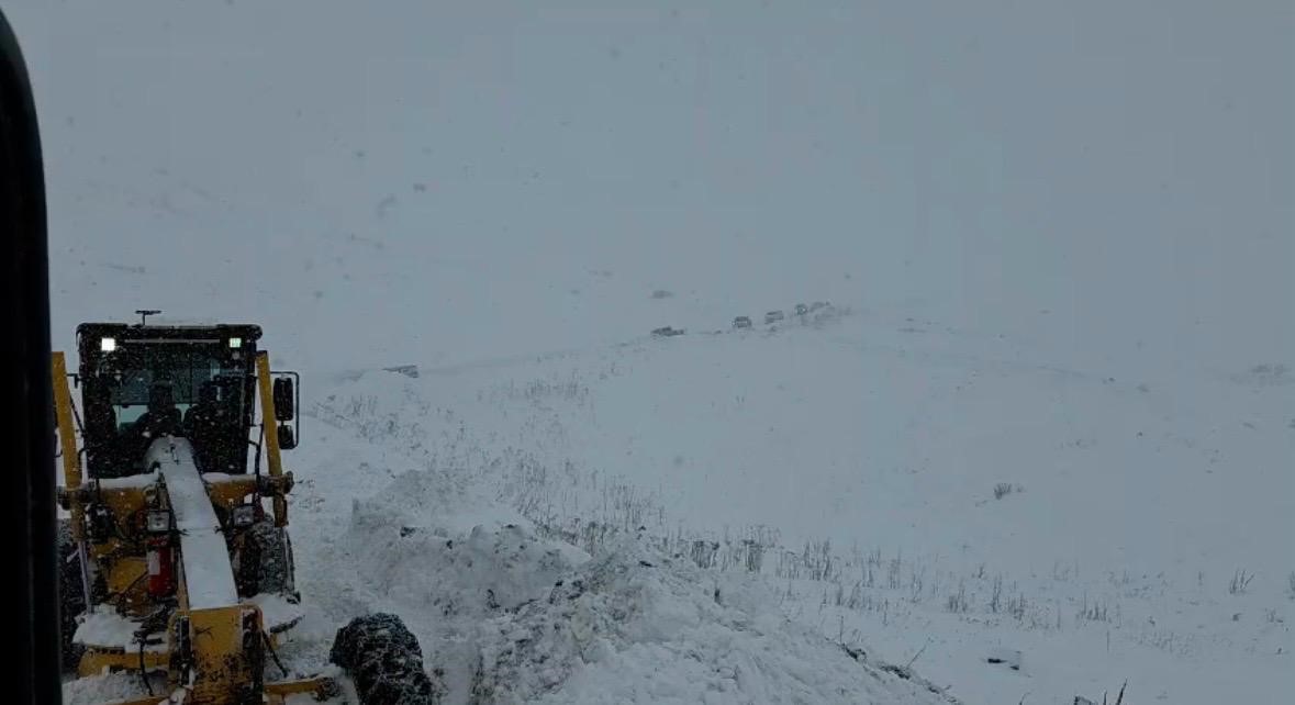 artvin valisi turan ergun 3 cobanin cig altinda kaldigi yonunde bir bilgi geldi cudDdkeF