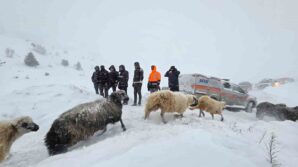 artvinde cig altinda kalan 3 cobandan birinin cansiz bedenine ulasildi iP9lzwrd