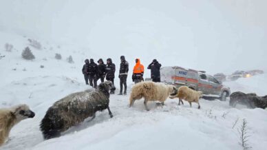 artvinde cig altinda kalan 3 cobandan birinin cansiz bedenine ulasildi iP9lzwrd