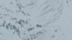 artvinde cig altinda kalan cobanlari arama calismalari havadan goruntulendi 5EDpvhRS