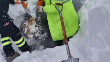 artvinde cig bolgesinde arama kurtarma calismalari ikinci gunde yeniden basladi DuHYzrbL