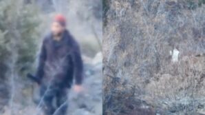 artvinde yasa disi avciliga gecit yok gN77r7HT