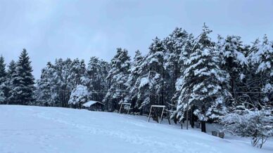 artvinin unlu kafkasor yaylasi beyaz ortuyle sessizlige burundu 2IWRY6yV
