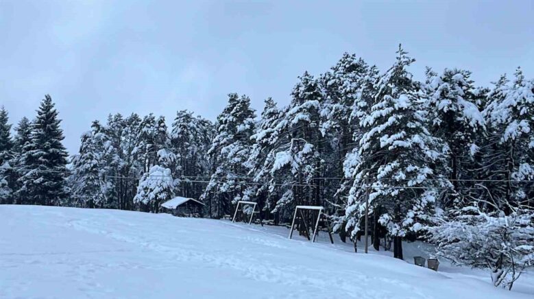 artvinin unlu kafkasor yaylasi beyaz ortuyle sessizlige burundu 2IWRY6yV
