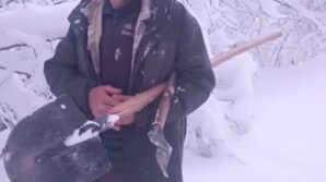 cobanin yardim cagrisina valilik aninda karsilik verdi karli yollar asilarak hayvanlara yem ulastirildi RQ995NG1