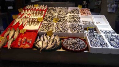 denizdeki firtina avini etkilese de balik fiyatlarini etkilemedi qnt4nd1O