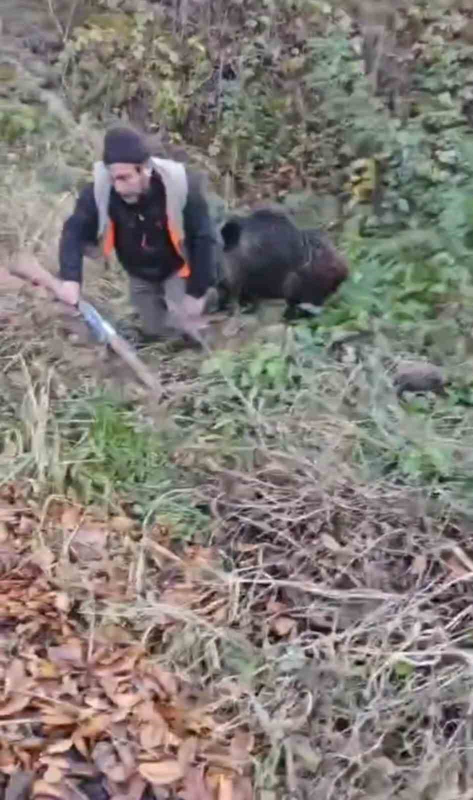 domuzun saldirisindan avci arkadaslari kurtardi DeAhEC9U