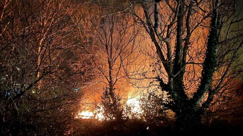 filyosta agaclik alanda cikan yangin korkuttu 5HYRm1UL