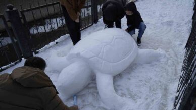 gumushanede kardan kaplumbaga ilgi odagi oldu 873yuv9S