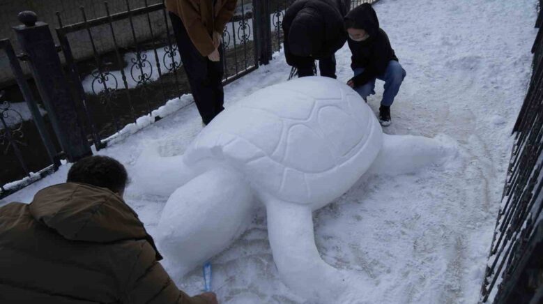 gumushanede kardan kaplumbaga ilgi odagi oldu 873yuv9S