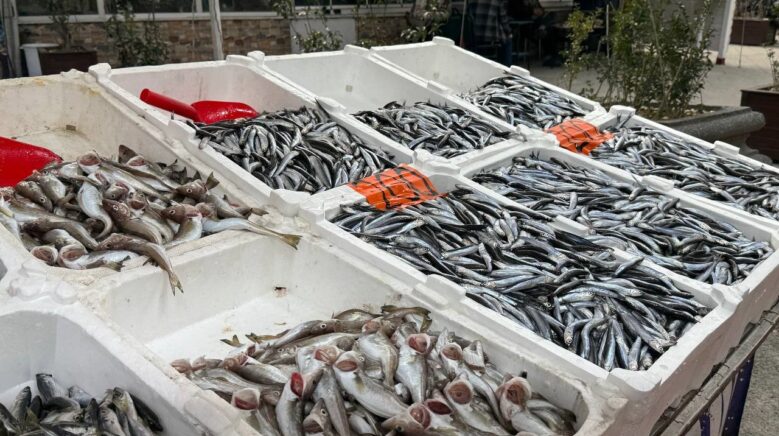 hamsi yeniden tezgahlarda 200 liradan alici buluyor ZQxQOw1j