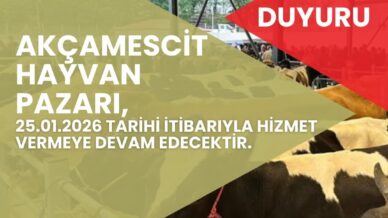 hayvan pazari 4 ay sonra yeniden hizmete acilacak IUt9bQV2