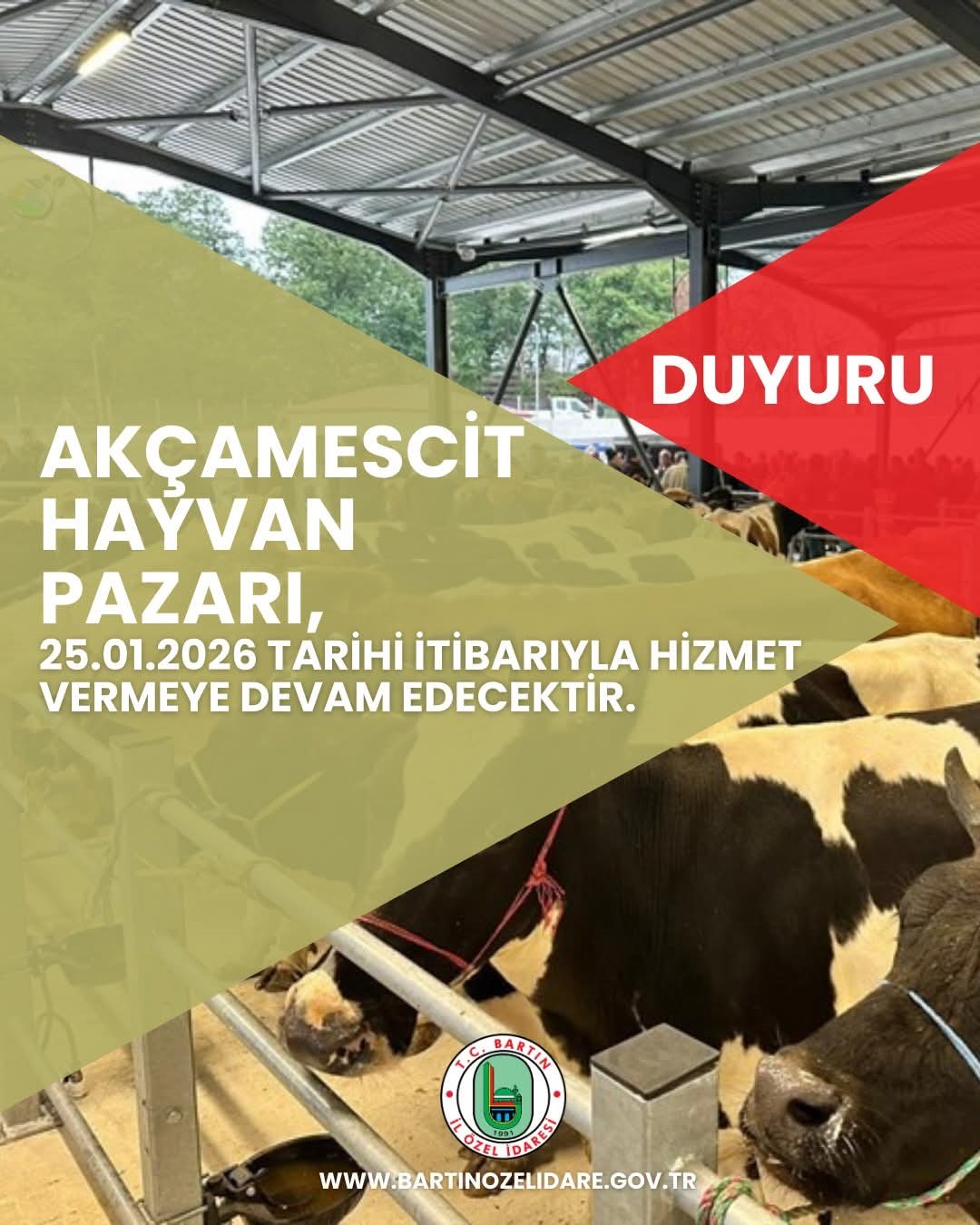 hayvan pazari 4 ay sonra yeniden hizmete acilacak IUt9bQV2