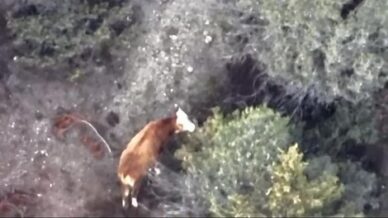 inegi kaybolan ciftcinin imdadina afad ve jandarma yetisti 18thVytR