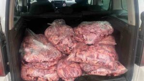 jandarmanin durdurdugu aractan 450 kilo bozulmus et cikti tHu2RqMx