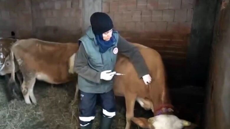 kar altinda sap seferberligi eHWpaKWq