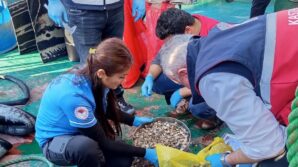 kastamonuda beyaz kum midyesi avciligina yonelik denetimler suruyor JTyEfIds