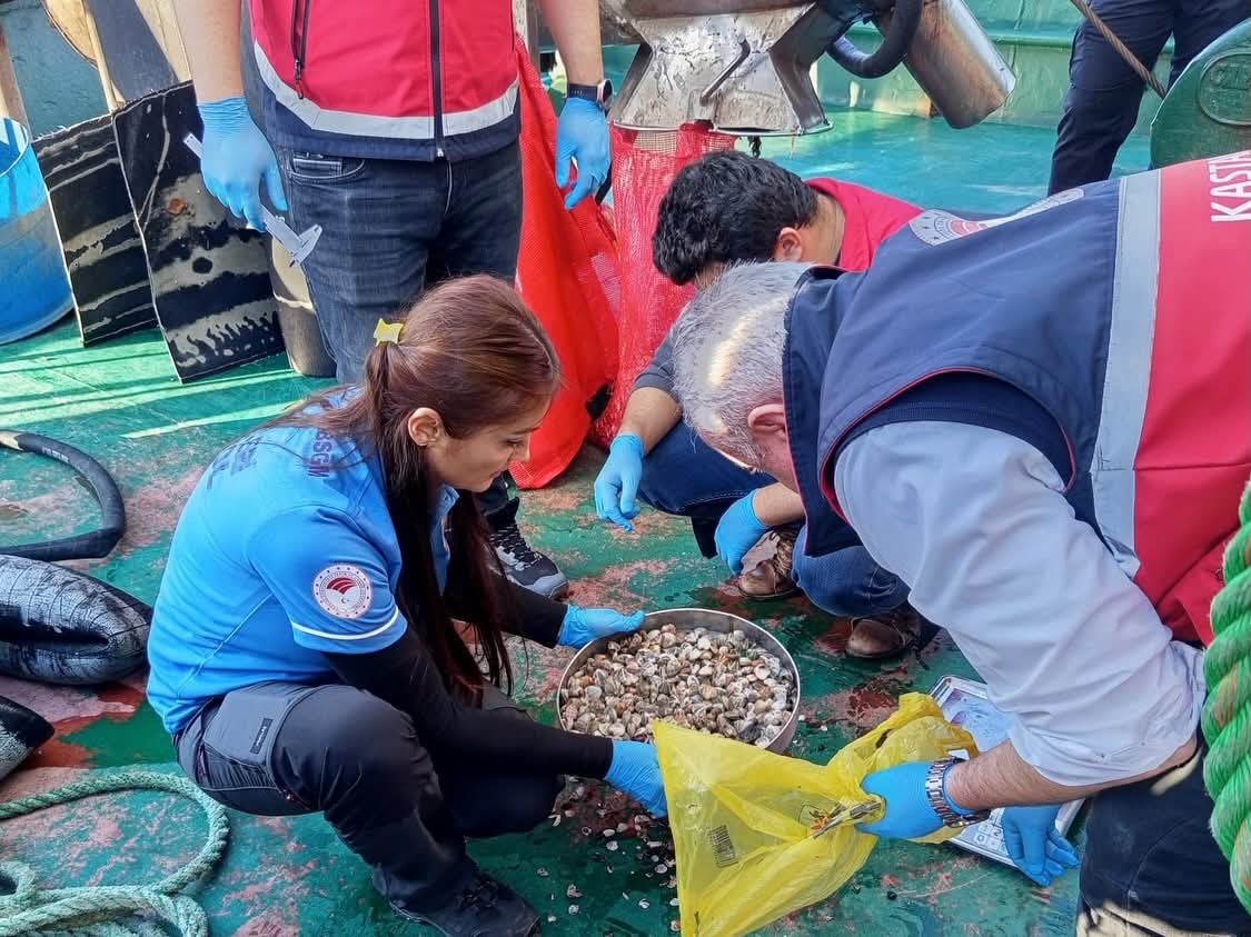 kastamonuda beyaz kum midyesi avciligina yonelik denetimler suruyor JTyEfIds