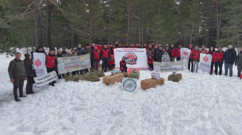 kastamonuda karla kaplanan ormanlara yaban hayvanlari icin yiyecek birakildi Td49KhHe