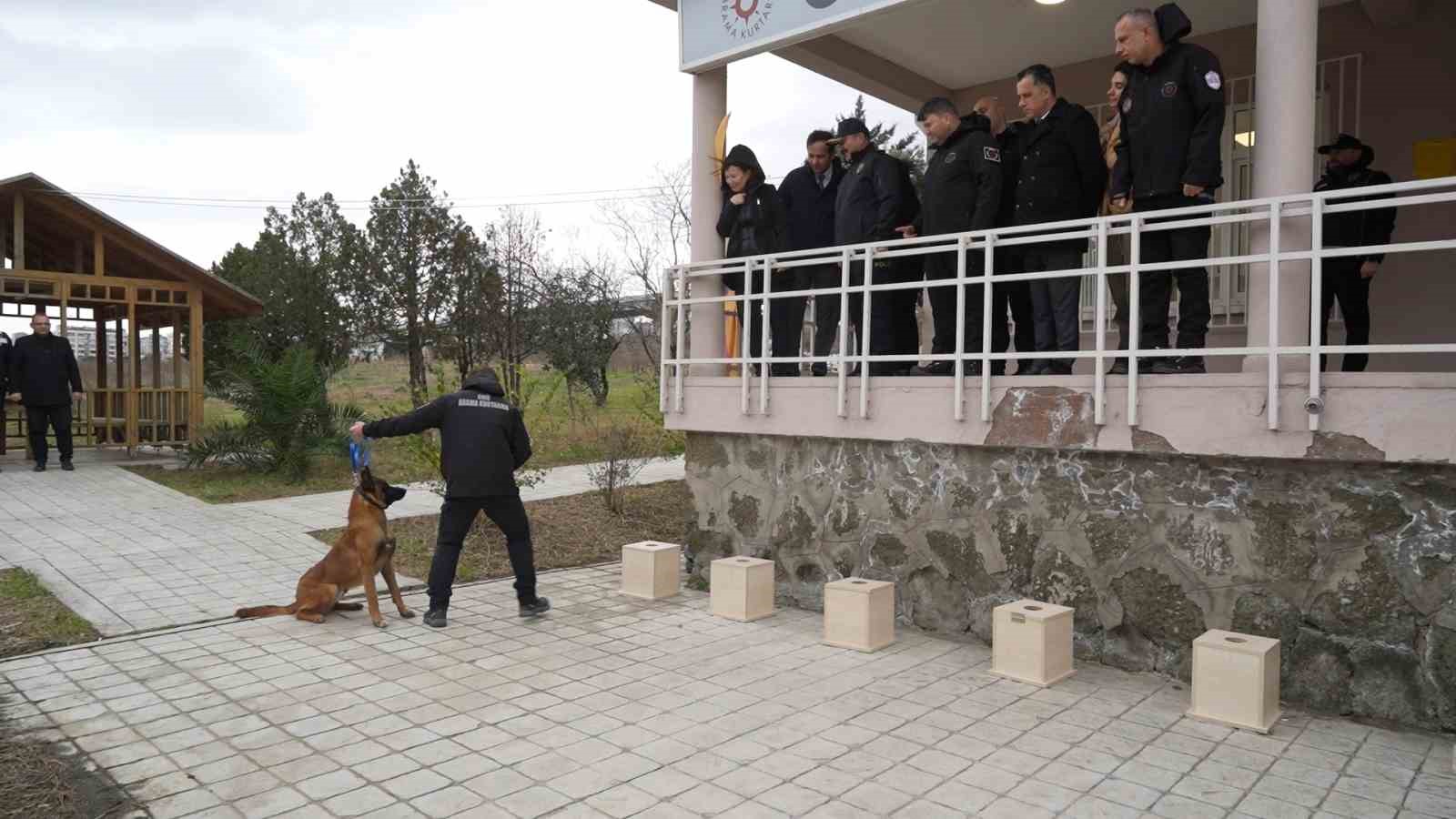 omude yetistirilen gorev kopegi pars samsun emniyetine teslim edildi uQNgruVp