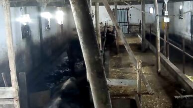 tokatta ahirin catisi coktu tYctnLnY