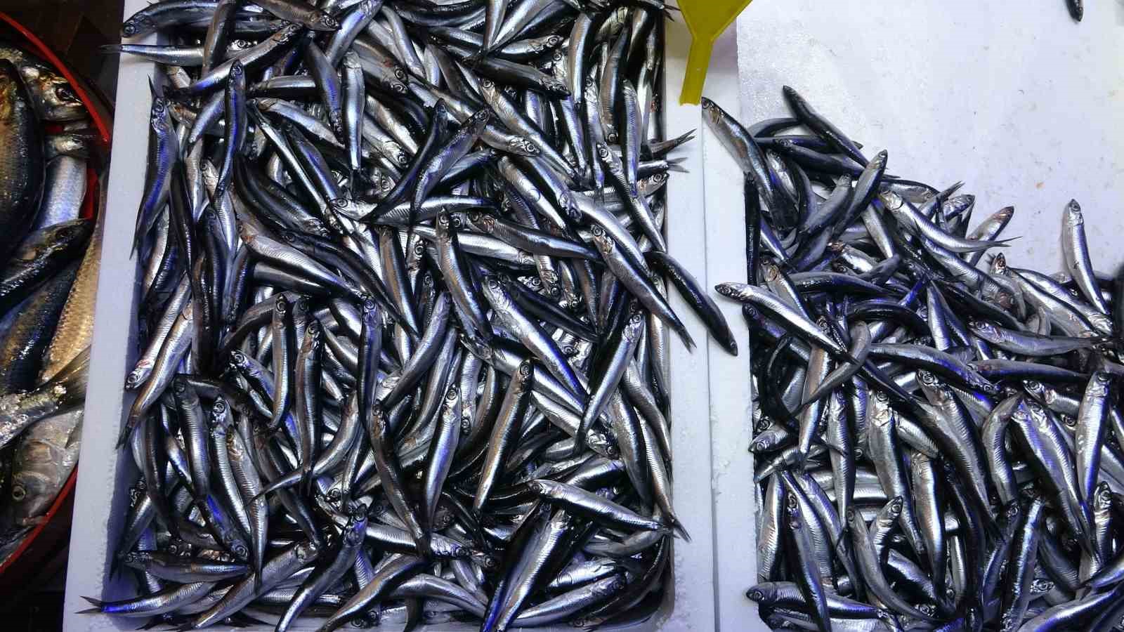 turkiyenin hamsi ihracatinda avrupa ulkeleri ilk sirada 9OlsPHYD