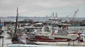 uyanik lufer karadeniz zekasini kullandi denizlerde bol ama aglara girmiyor f7yf7fpY