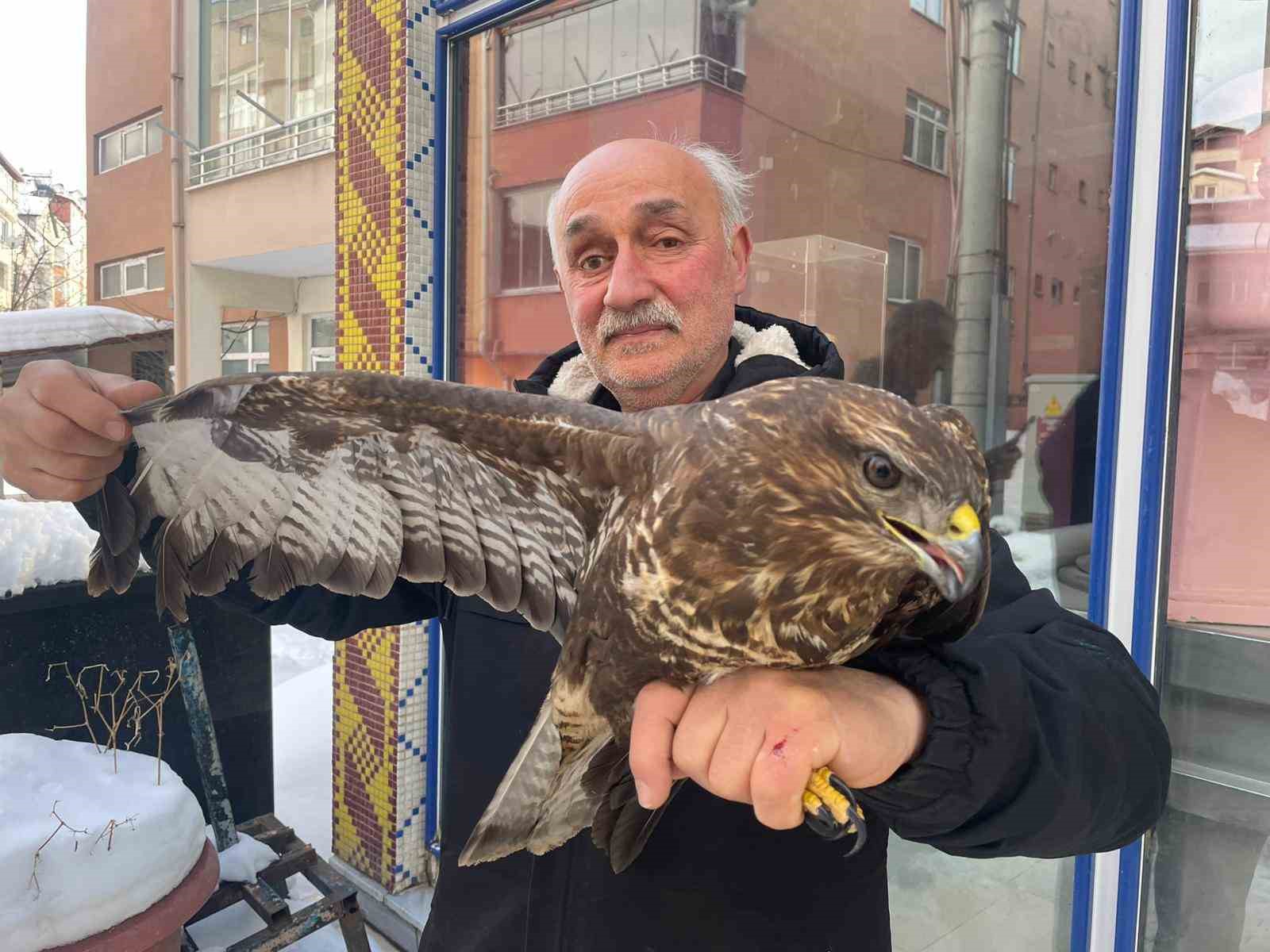 yarali boz sahine sefkat eli