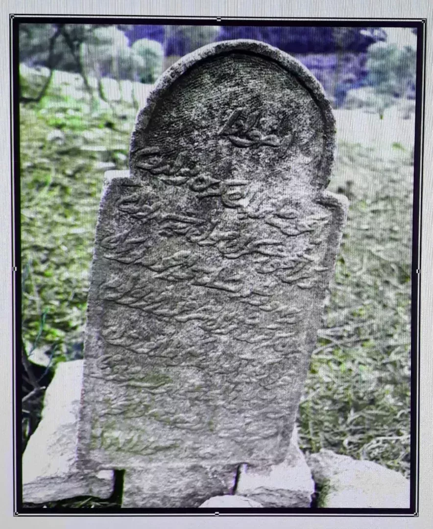 WhatsApp Image 2026 02 12 at 09.42.16