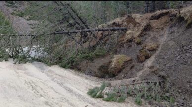 amasyada ormanlik alanda heyelan agaclar devrildi x8rWwsev