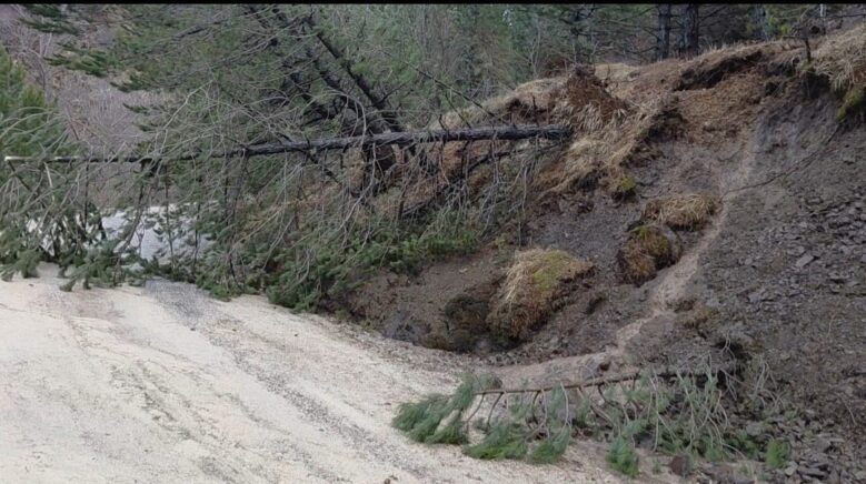 amasyada ormanlik alanda heyelan agaclar devrildi x8rWwsev