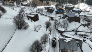 artvin orman bolge mudurlugunden karla mucadeleye destek 1gdMDgDF