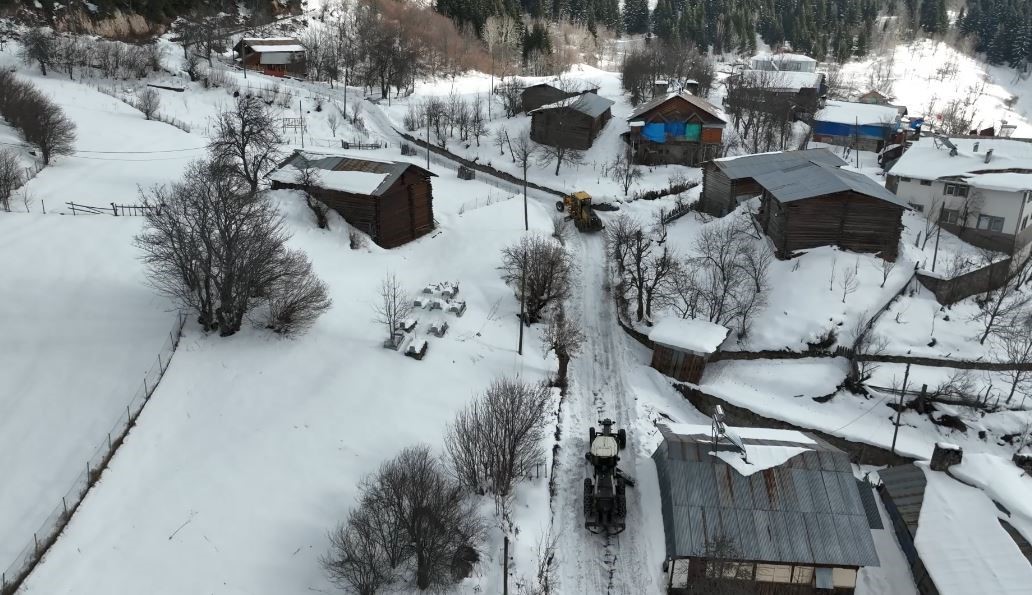 artvin orman bolge mudurlugunden karla mucadeleye destek 1gdMDgDF