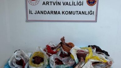 artvinde 60 kilo yaban domuzu eti ele gecirildi TGQMtNBn