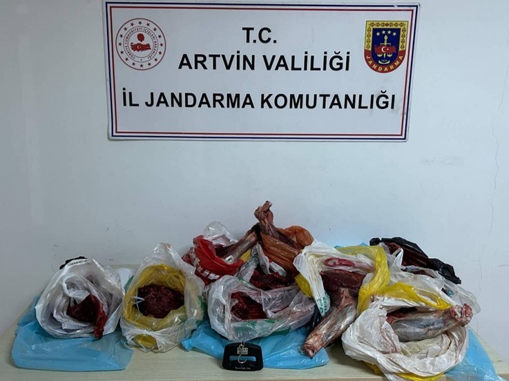 artvinde 60 kilo yaban domuzu eti ele gecirildi TGQMtNBn