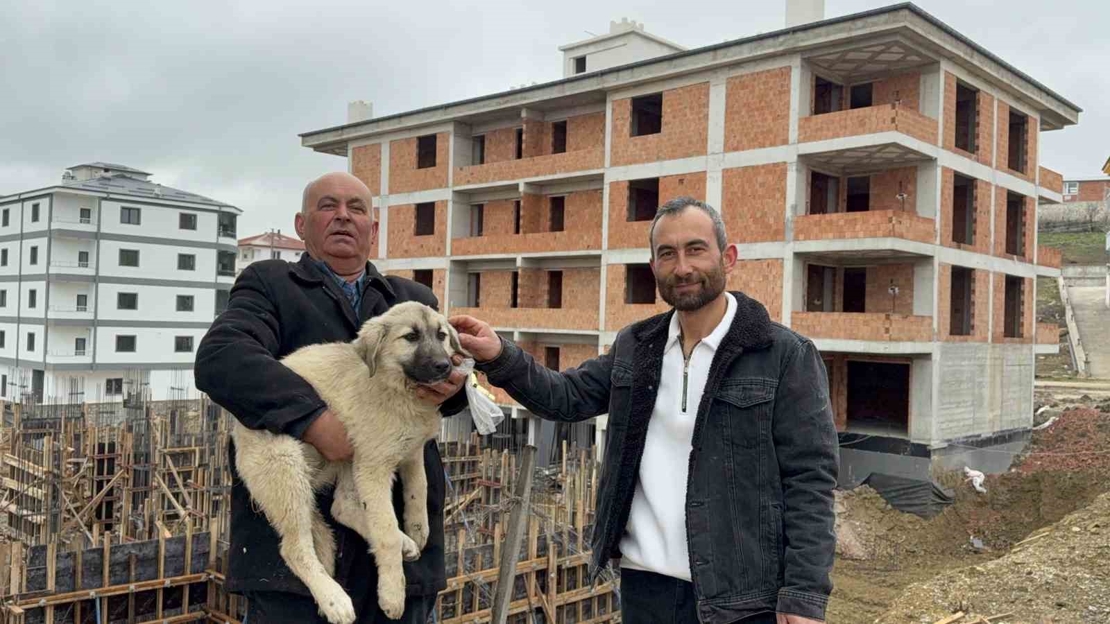 baba ogul catida olumun esigindeki yavru kopegi kurtardi yAyBkThs