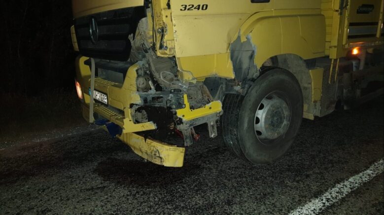 bir kisinin oldugu olumlu kazayla ilgili yargilanan saniga 4 yil 2 ay hapis cezasi NcHu8QZz