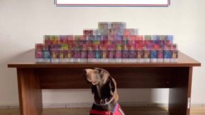 boluda 150 adet elektronik sigara ele gecirildi 2f63sAB3