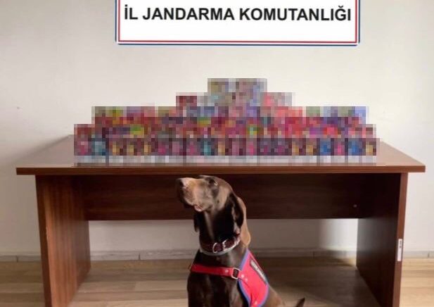 boluda 150 adet elektronik sigara ele gecirildi 2f63sAB3