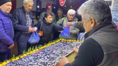 boluda balik tezgahlarinda hamsi bollugu LiteUs7y