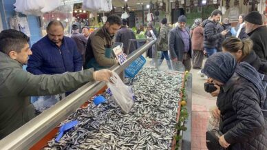 boluda hamsi bollugu suruyor kilosu 200 liradan ragbet gordu 2fRVi7dT
