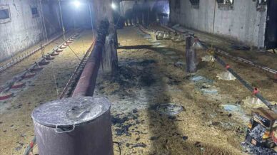 boluda kumes yangini buyumeden sonduruldu 8e1xBFwX