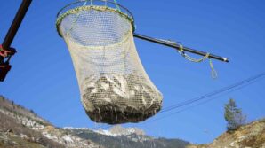 denizi olmayan gumushanede alabalik uretimi 2 bin tona ulasti vR2CricJ